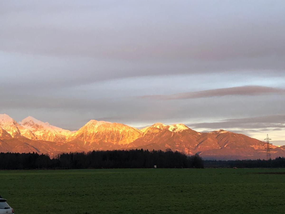 Apartma Ajda Lägenhet Kranj Exteriör bild